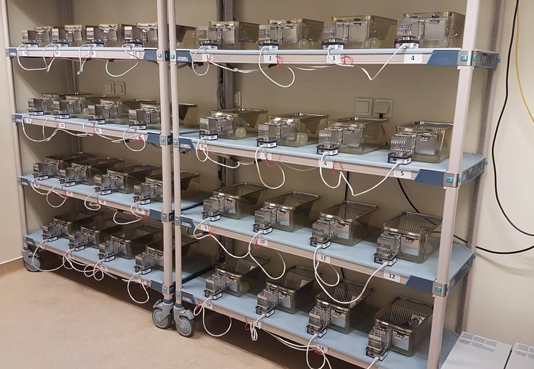 Consommation alimentaire et hydrique (32 Cages pour Souris ou 24 Cages pour Rats)