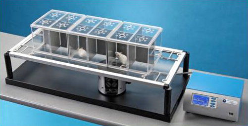 Stimulation plantaire (Pour 6 Souris ou 3 Rats) 