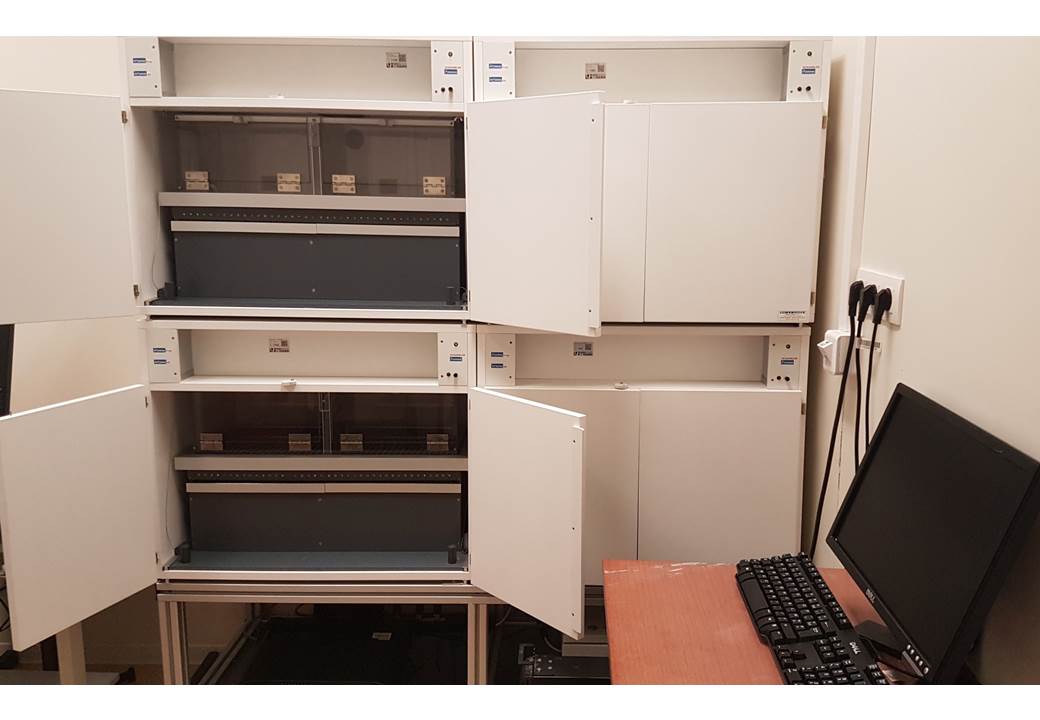 Shuttle box - rat (4 Boites)