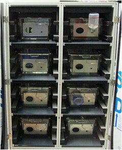 Cage d'activité locomotrice (IMETRONIC) (8 Cages)
