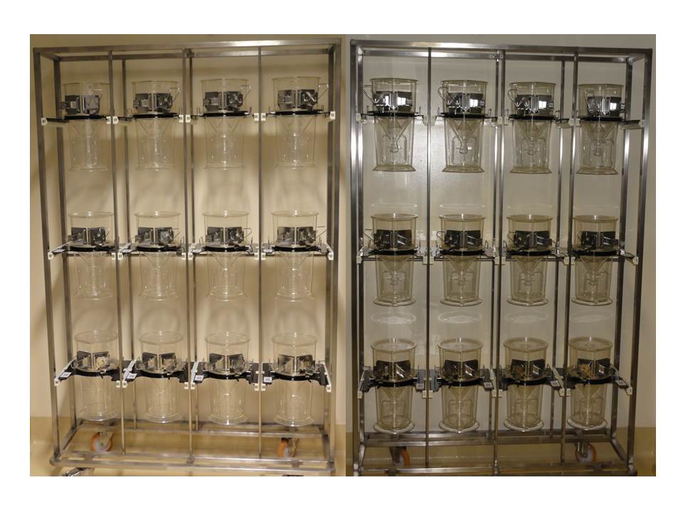 Cages à métabolisme et de diurèse (24 Cages)