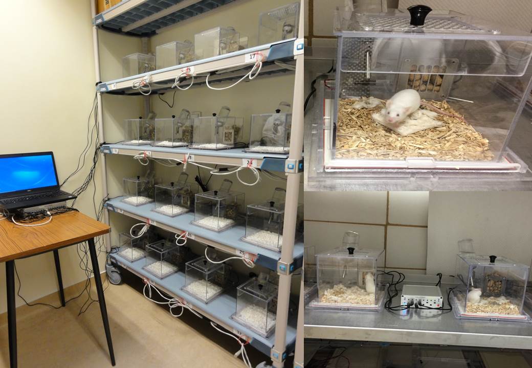 Dispositif Automatique de Mesure Non-Invasive du Sommeil, de la Veille et de la Respiration chez la Souris (PiezzoSleep) (16 Cages)