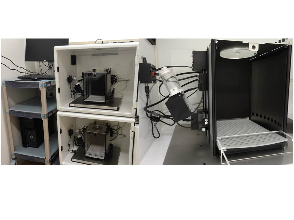 Dispositif 5-9 trous ou dispositif de mesure de capacités attentionnelles (8 boites)