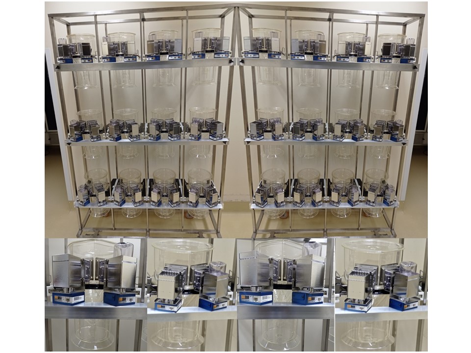 Cages à métabolisme et diurèse couplé au Dispositif de mesure de consommation alimentaire et hydrique