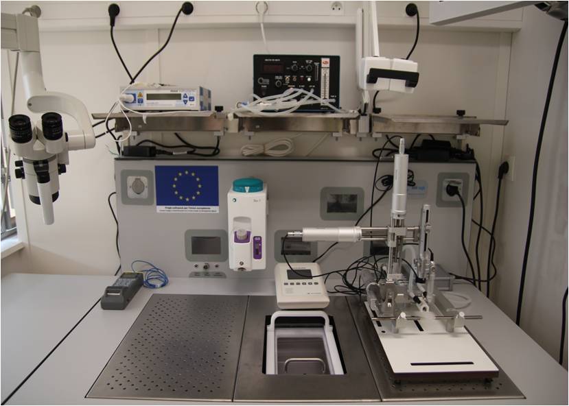 Microchirurgie avec 2 Tables Stéréotaxiques Robotisées